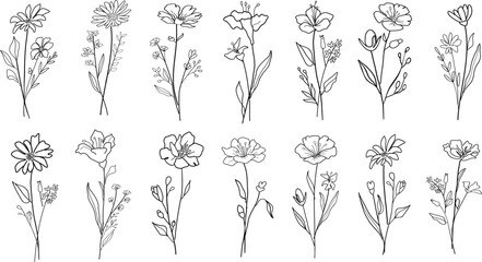 Hand drawn line art botanical floral bouquets. Flower set vector illustration for label, invitation, frame, logo.