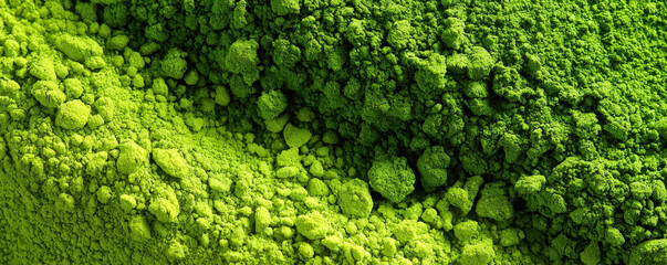Obraz premium Vibrant green powdered matcha tea with varying textures showcasing natural color and fine consistency on a smooth surface
