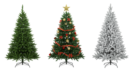 Three distinct fir trees: unadorned, decorated, snow-dusted, arranged on transparent studio background with soft high-key light, concept of diverse holiday choices