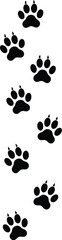 Animal paw prints trail