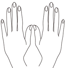 hand, hands, woman, female, women, girl, fingers, beautiful nails, beauty, manicure, spa, painted nails 