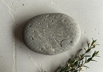 Natural solid shampoo bar with rosemary sprig on textured surface
