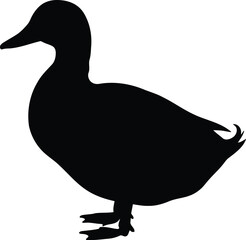 Black duck silhouette isolated on white