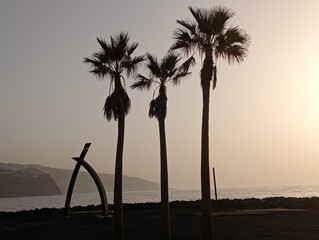 sunset at the beach