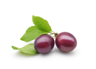 Two ripe dark purple cherry plums or prunus with leaves isolated on white background