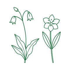 Elegant Flower Line Art Collection for Floral Designs.