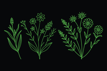 Vibrant Floral Line Art Collection.