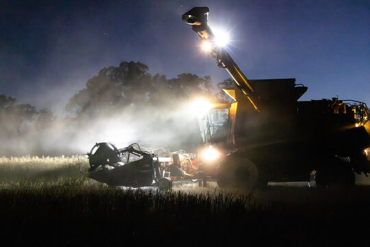 Harvester harvesting canola crop at night on farm