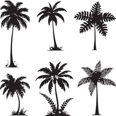 A set of six palm trees are drawn in black and white