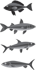 Four different types of fish are shown in a row