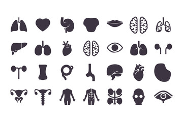 Human Organs Icon Set. Vector Medical Anatomy Symbols for Healthcare and Biology