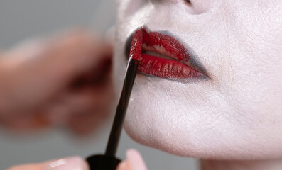 Artistic Face Makeup with lip Application