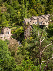Gorges du Tarn en France