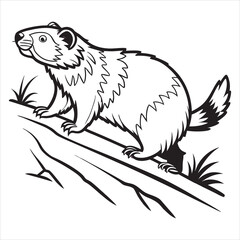 olympic-marmot-vector