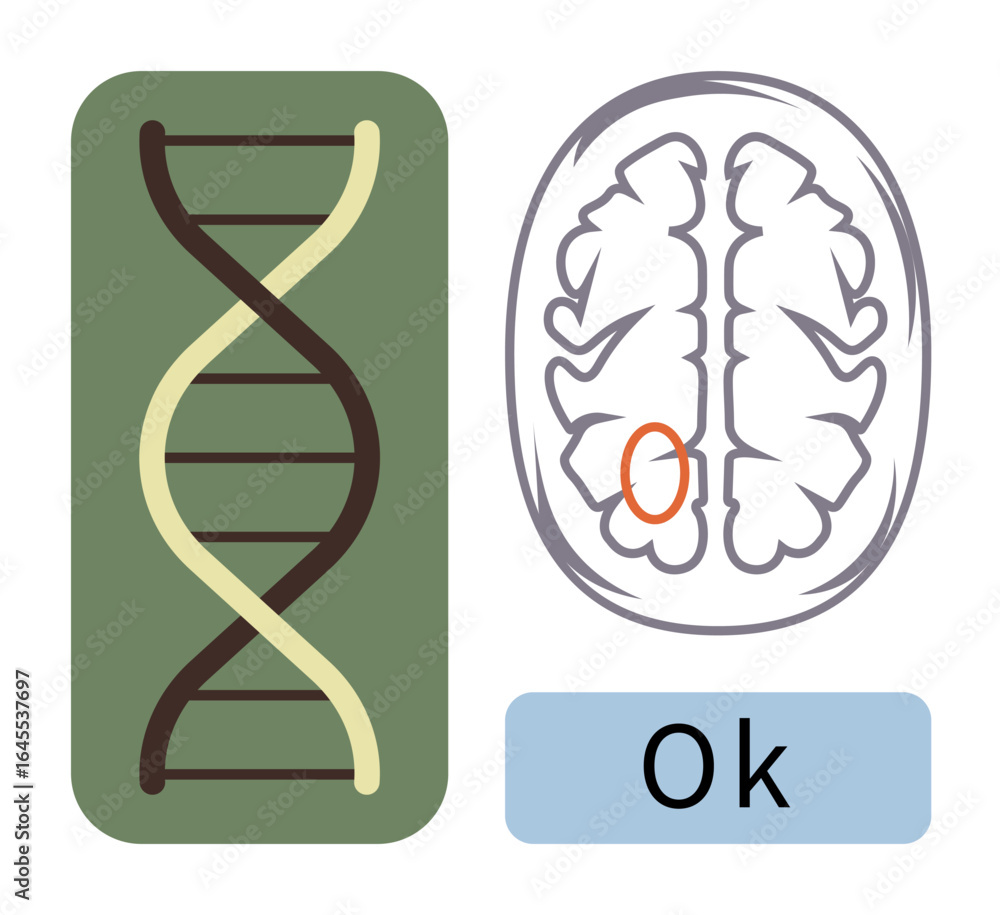 Poster dna helix alongside brain cross-section with marked area, showcasing relation between genetics and n