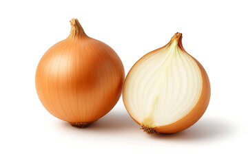 onions on a white background