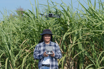Corn farmers fly drones to check the growth of their crop.
