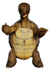 3D Rendering Sea Turtle on White