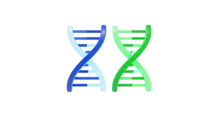 3d icon of two dna helixes isolated on transparent background, representing genetic code, scientific research, and the building blocks of life itself