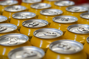Rows of Canned Beverages Ready for Refreshment