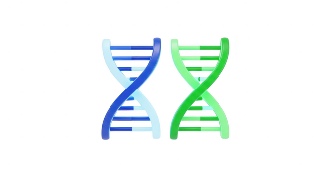 3d icon of two dna helixes isolated on transparent background, representing genetic code, scientific research, and the building blocks of life itself - Powered by Adobe