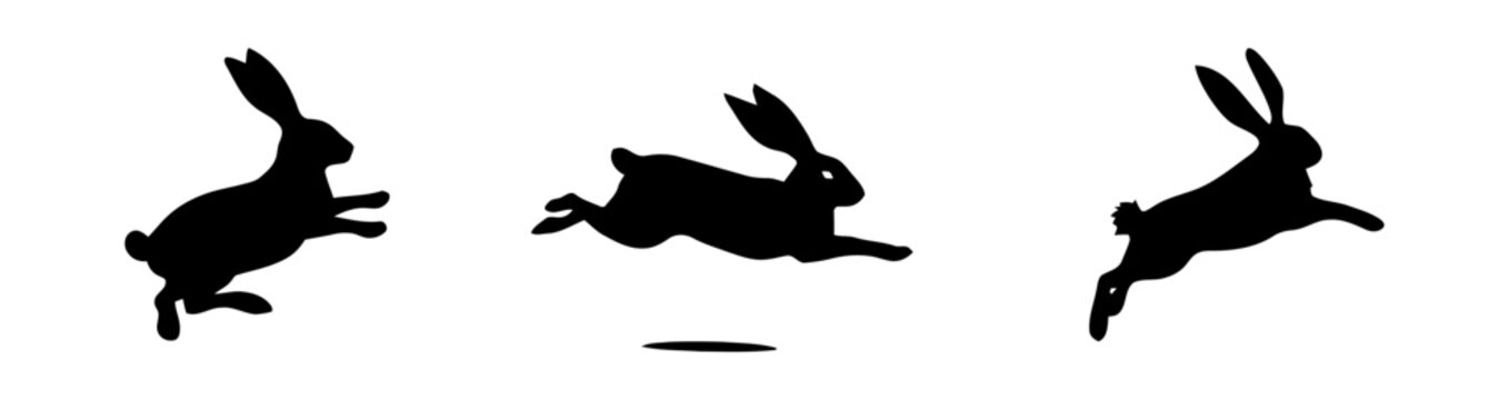 Three black silhouettes of hopping rabbits.