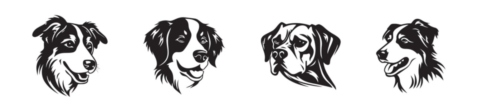 Four dogs' heads, black and white.