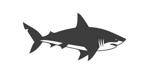 Fototapeta premium Silhouette of a great white shark.