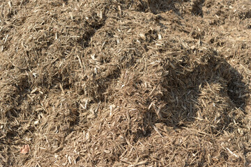 pile of mulch outdoors in summer