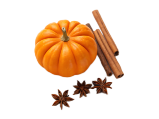 A still life of a small orange pumpkin with cinnamon sticks and star anise on a black background