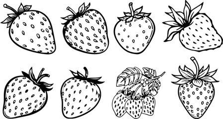 Black and white drawing of various strawberries.
