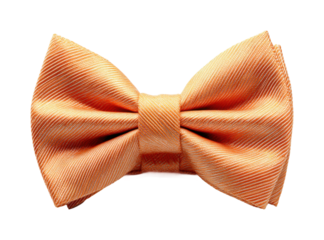 Elegant orange bow tie fashion event accessories, isolated on transparent background, png