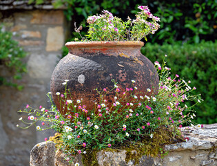 Spherical clay pot with plants with small pink and white blossoms in Beynac in Perigord, Franceclay pot with small pink and white flowers