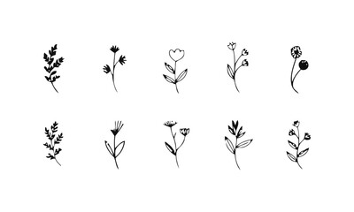 Simple black line drawings of various flowers and plants.

