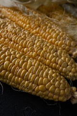 Close-up view of fresh corn cobs with yellow kernels and silk strands, placed on a dark background, showcasing texture and detail in natural light.