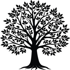 Fototapeta premium dfg1-730.eps