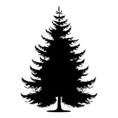 Fototapeta premium Silhouette of a fir tree. 