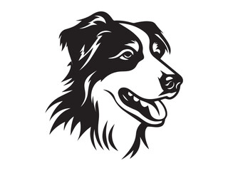 Fototapeta premium Black and white border collie head profile. 