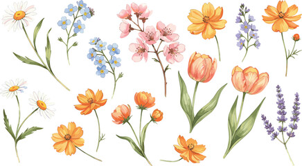 Beautiful watercolor wildflowers set, hand-painted floral elements including daisies, tulips, lavender, cherry blossoms, garden decor, botanical design clipart