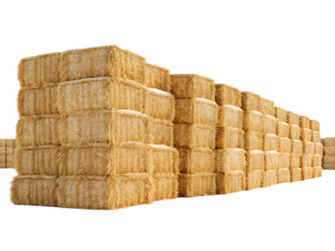 A large stack of square hay bales piled high against a dark background in a rural agricultural setting