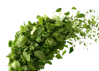 Falling green leaves nature high-speed motion abstract, isolated on transparent background, png