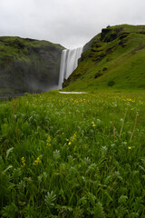 Skogafoss waterfall view with green field in summer time.
