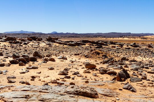 The Sahara desert. Hamada type desert. A dry, flat, rocky desert. Algeria, Africa