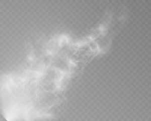 Realistic white smoke or mist effect with soft, swirling patterns on a transparent background. Perfect for overlays and atmospheric designs.