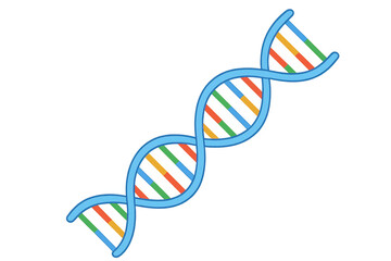 Vibrant dna helix on transparent background
