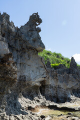 ゴジラのような岩がある岩石海岸