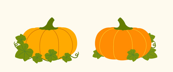 Set of autumn season pumpkins vegetable with leaves.
Farm fresh pumpkin.
Fall pumpkin flat stock vector illustration.
Design for harvest festival, Thanksgiving. 