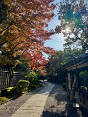 Obraz premium autumn in fukuoka