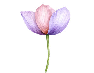 Fototapeta premium Angled Watercolor Flower Icon with Droplets, Side Perspective, Isolated