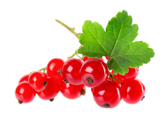 Red currant isolated on white background. Redcurrant or Ribes rubrum ripe berries with green leaves.